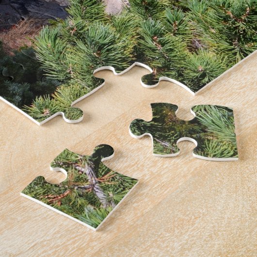 Nymph Lake Rocky Mountain Nationalpark Puzzle (Seite)