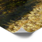 Nymph Seeweg im Frühling Herbst Poster (Ecke)