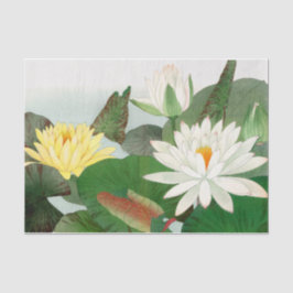 Nymphaea lotus, Decoupage Seidenpapier