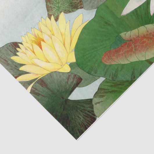 Nymphaea lotus, Decoupage Seidenpapier (Ausschnitt)