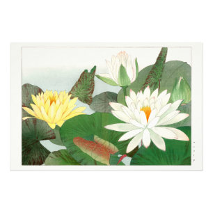 Nymphaea lotus, japanischer Holzschnitt, 1917 Fotodruck