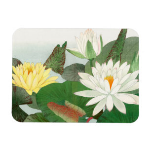Nymphaea lotus, japanischer Holzschnitt, 1917 Magnet