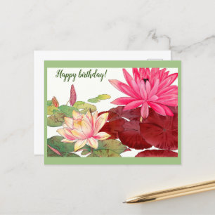 Nymphaea lotus, rosa und weiße Wasserlilien Postkarte