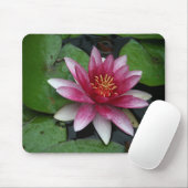 Nymphaea tetragona mousepad (Mit Mouse)