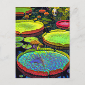 Nymphaeales Postcard Postkarte
