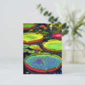 Nymphaeales Postcard Postkarte (Stehend Vorderseite)