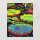 Nymphaeales Postcard Postkarte (Vorderseite)