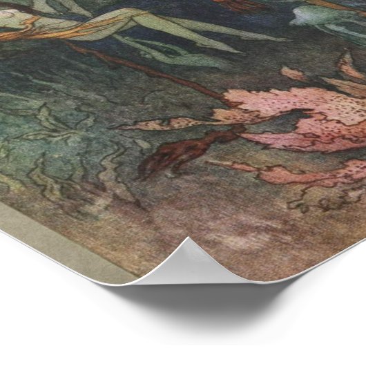 Nymphen Poster (Ecke)