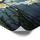 Nymphenburg-Blume Poster (Ecke)