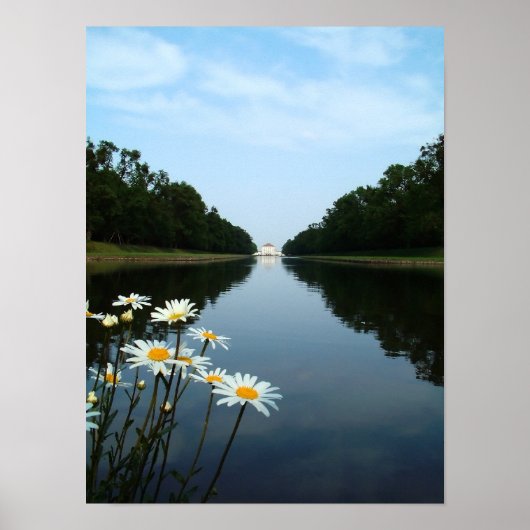 Nymphenburg-Blume Poster (Vorne)