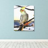 Nymphensittich-Profilfoto Leinwanddruck (Insitu (Holzboden))