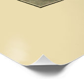 NZ Muscheln - Argonauta nodosa und Spirula Peroni Poster (Ecke)