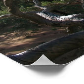 O Arch Poster (Ecke)