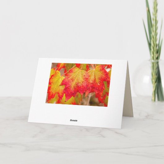 O CANADA KARTE (Rückseite)