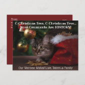 O Christmas Tree Cat Holiday Foto Postkarte (Vorne/Hinten)