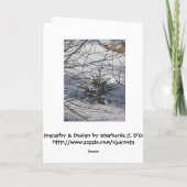 O Christmas Tree Feiertagskarte (Rückseite)