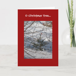 O Christmas Tree Feiertagskarte