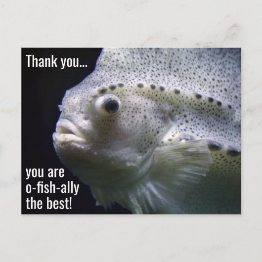 O-fish the Best Danke Postcard Postkarte (Vorderseite)