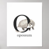 O für Opossum-Poster Poster (Vorne)