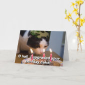 O hai!  Ich verbesserte Ihren berfday Kuchen Karte (Gelbe Blume)