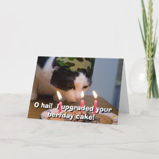 O hai! Ich verbesserte Ihren berfday Kuchen Karte