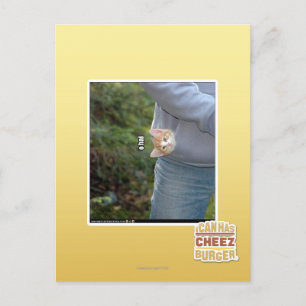 O hai postkarte