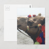 O Mann! Maskat Postkarte (Vorne/Hinten)