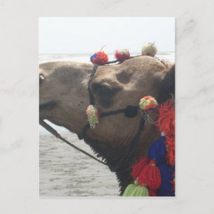 O Mann! Maskat Postkarte