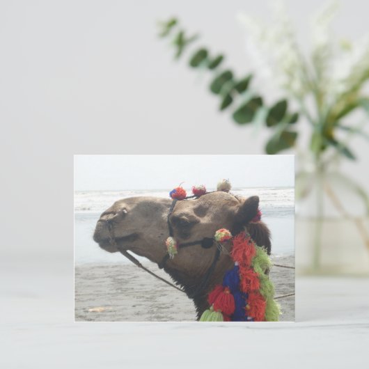 O-Mann! Muscat Postkarte (Stehend Vorderseite)