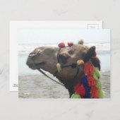 O-Mann! Muscat Postkarte (Vorne/Hinten)