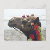 O-Mann! Muscat Postkarte (Vorderseite)