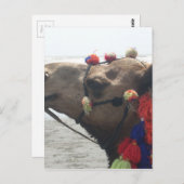 O Mann! Muscat Postkarte (Vorne/Hinten)