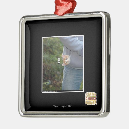 O-Shhai Silbernes Ornament (Links)