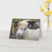 O We Like Sheep Karte (Gelbe Blume)