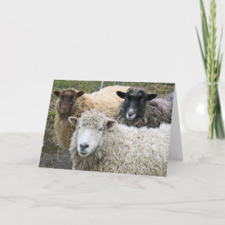 O We Like Sheep Karte