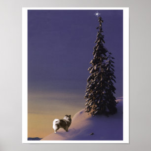 "O-Weihnachtsbaum" Keeshondplakat Poster