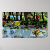 Oahu Amakihi Poster (Vorne)