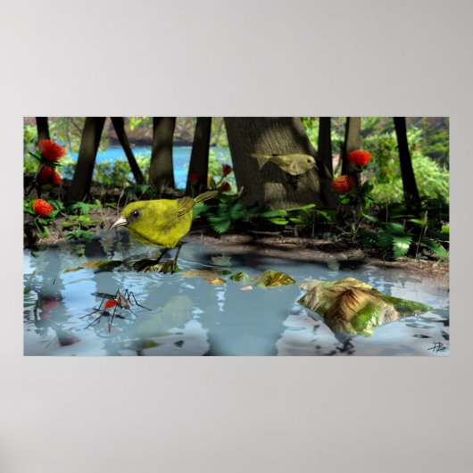 Oahu Amakihi Poster (Vorne)