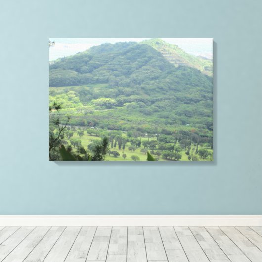 OAHU HAWAII #11 LEINWAND (Insitu (Holzboden))