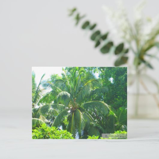 OAHU, HAWAII #17 POSTCARD POSTKARTE (Stehend Vorderseite)