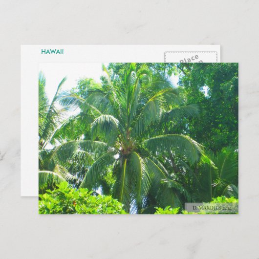 OAHU, HAWAII #17 POSTCARD POSTKARTE (Vorne/Hinten)