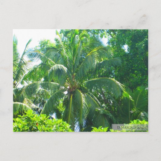 OAHU, HAWAII #17 POSTCARD POSTKARTE (Vorderseite)