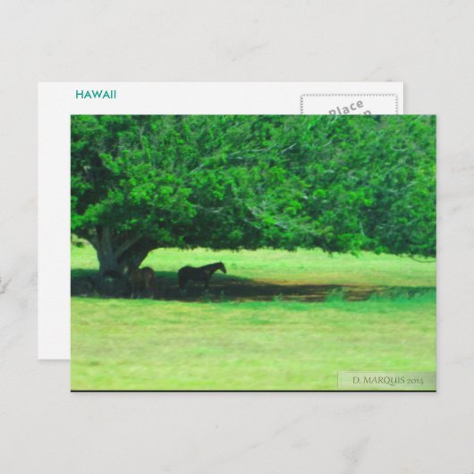 OAHU, HAWAII #19 POSTCARD POSTKARTE (Vorne/Hinten)