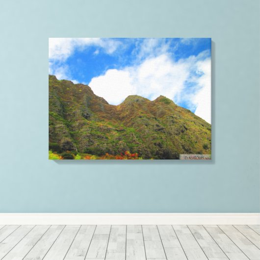 OAHU HAWAII #20 LEINWAND (Insitu (Holzboden))