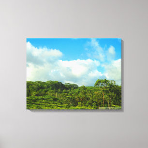 OAHU HAWAII #23 LEINWAND