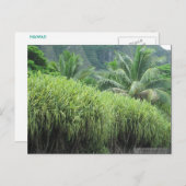 OAHU, HAWAII #2 POSTCARD POSTKARTE (Vorne/Hinten)