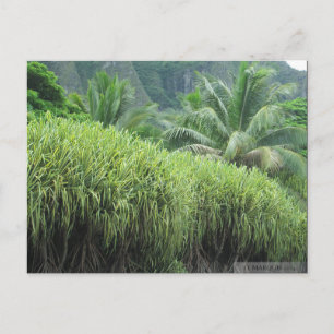 OAHU, HAWAII #2 POSTCARD POSTKARTE