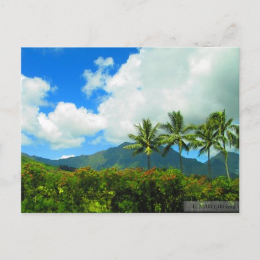 OAHU,HAWAII #6 POSTKARTE (Vorderseite)
