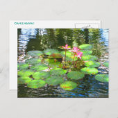 OAHU, HAWAII#8 POSTCARD POSTKARTE (Vorne/Hinten)