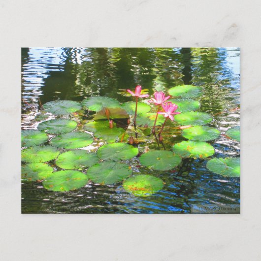 OAHU, HAWAII#8 POSTCARD POSTKARTE (Vorderseite)